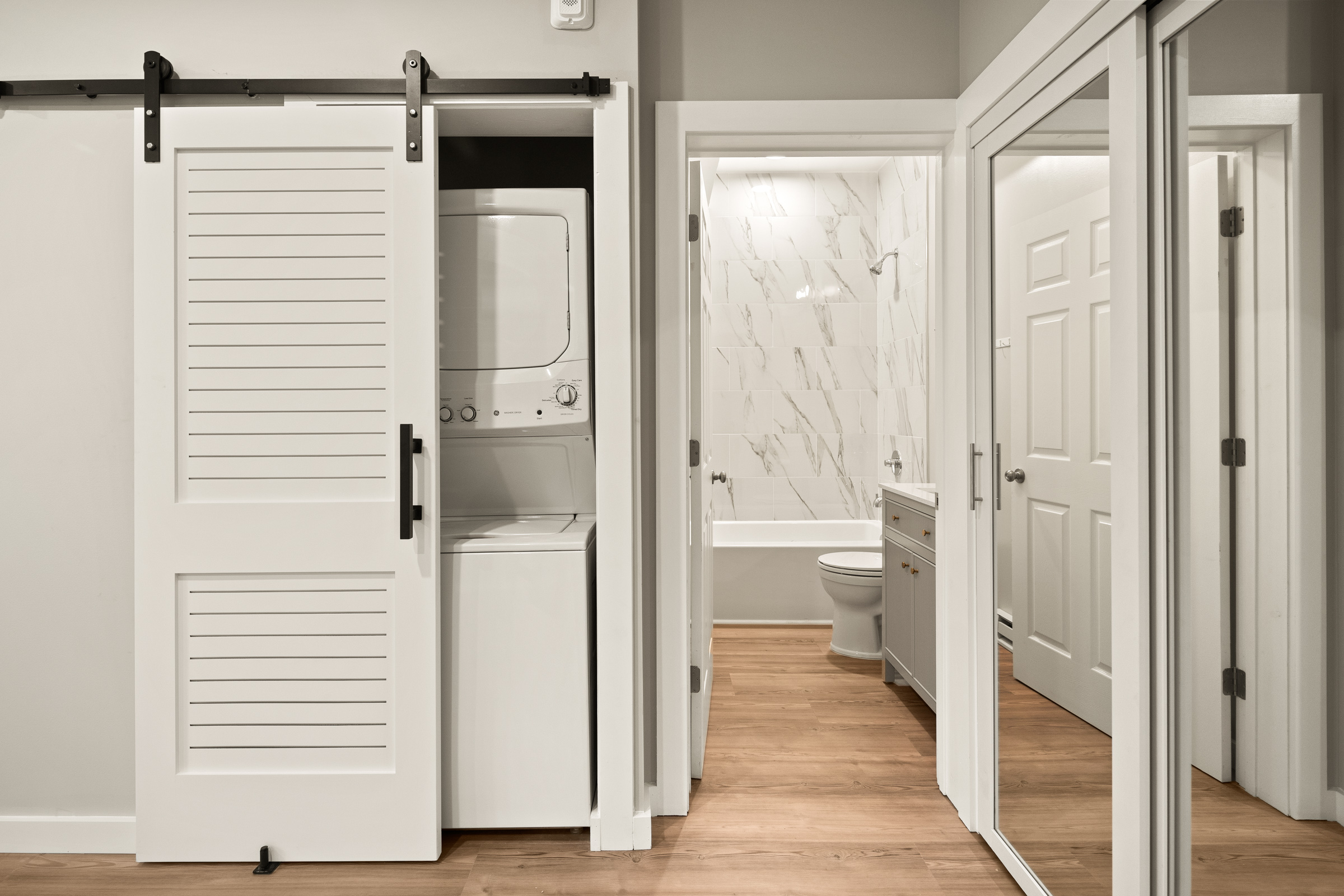 Unit 103 - Barn door